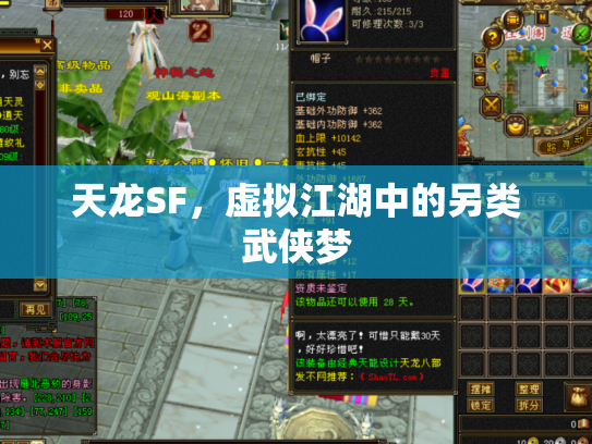 天龙SF，虚拟江湖中的另类武侠梦