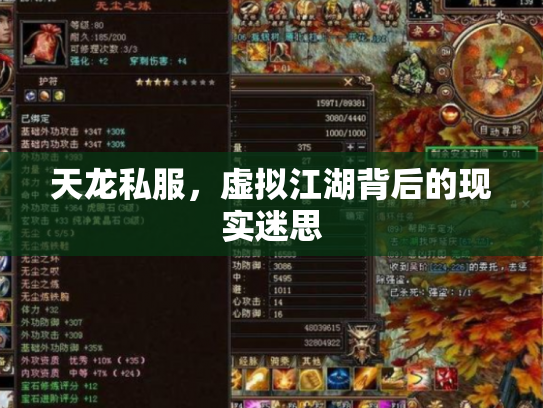 天龙私服，虚拟江湖背后的现实迷思