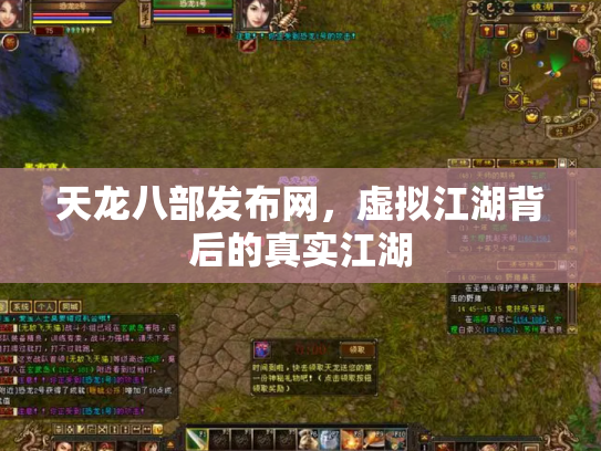 天龙八部发布网，虚拟江湖背后的真实江湖