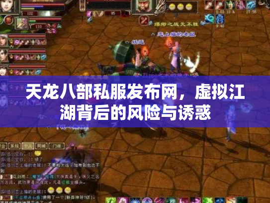 天龙八部私服发布网，虚拟江湖背后的风险与诱惑