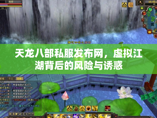 天龙八部私服发布网，虚拟江湖背后的风险与诱惑