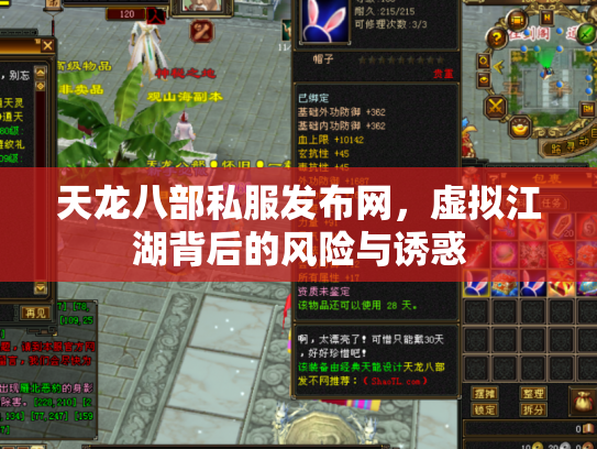天龙八部私服发布网，虚拟江湖背后的风险与诱惑