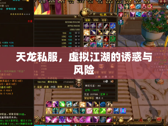 天龙私服，虚拟江湖的诱惑与风险