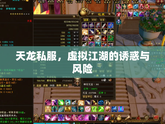 天龙私服，虚拟江湖的诱惑与风险