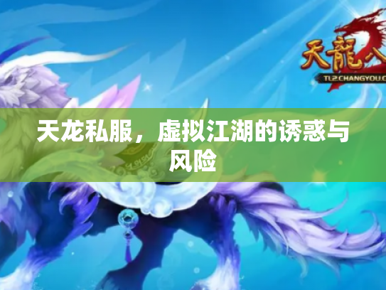 天龙私服，虚拟江湖的诱惑与风险