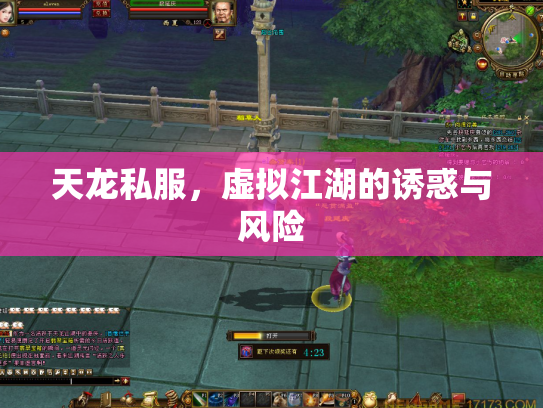 天龙私服，虚拟江湖的诱惑与风险