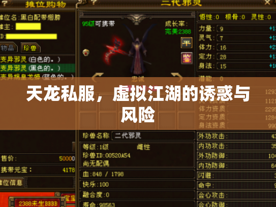 天龙私服，虚拟江湖的诱惑与风险