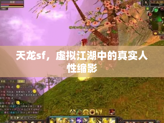 天龙sf，虚拟江湖中的真实人性缩影