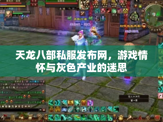 天龙八部私服发布网，游戏情怀与灰色产业的迷思
