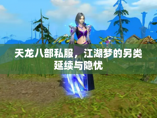 天龙八部私服，江湖梦的另类延续与隐忧
