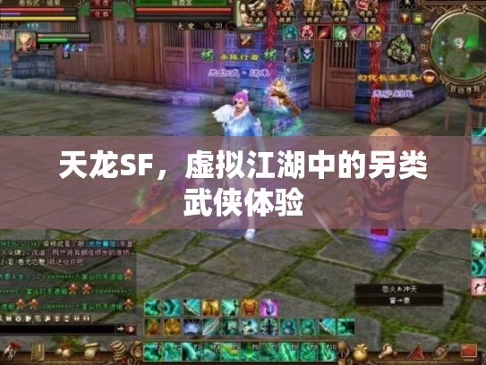 天龙SF，虚拟江湖中的另类武侠体验