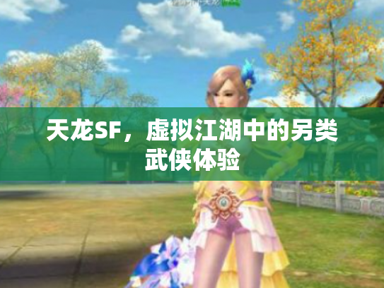 天龙SF，虚拟江湖中的另类武侠体验