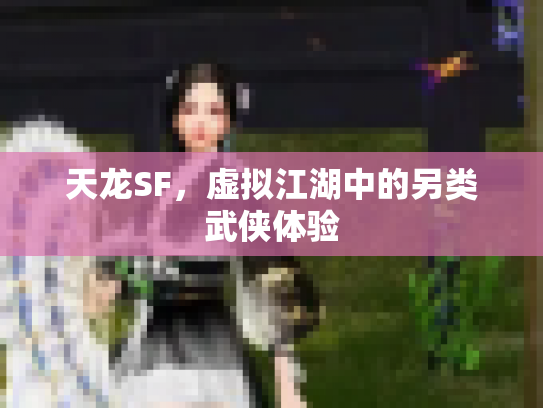 天龙SF，虚拟江湖中的另类武侠体验