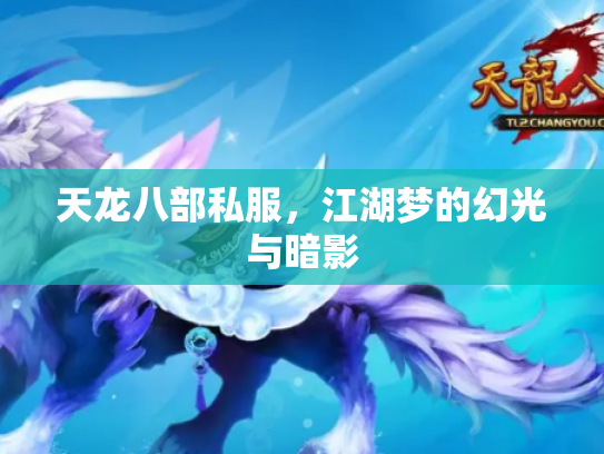 天龙八部私服，江湖梦的幻光与暗影