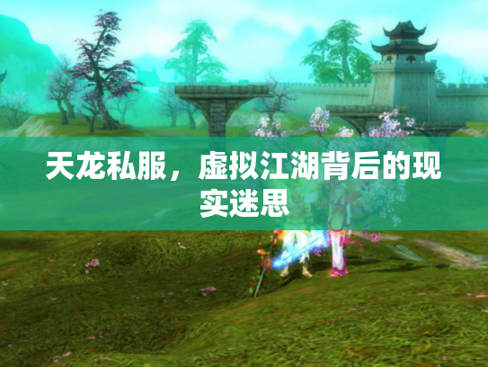 天龙私服，虚拟江湖背后的现实迷思