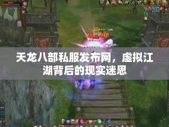 天龙八部私服发布网，虚拟江湖背后的现实迷思