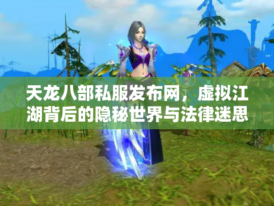 天龙八部私服发布网，虚拟江湖背后的隐秘世界与法律迷思