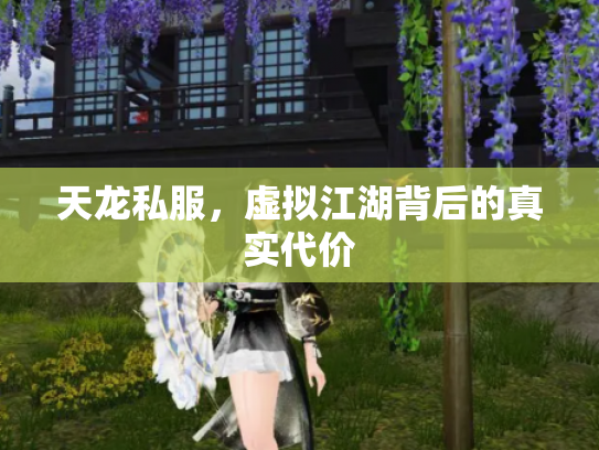 天龙私服，虚拟江湖背后的真实代价
