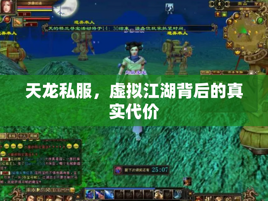 天龙私服，虚拟江湖背后的真实代价
