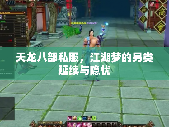 天龙八部私服，江湖梦的另类延续与隐忧