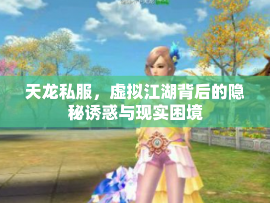 天龙私服，虚拟江湖背后的隐秘诱惑与现实困境