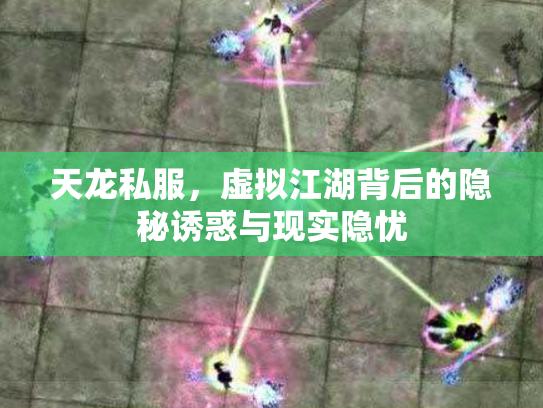 天龙私服，虚拟江湖背后的隐秘诱惑与现实隐忧