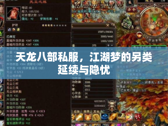 天龙八部私服，江湖梦的另类延续与隐忧