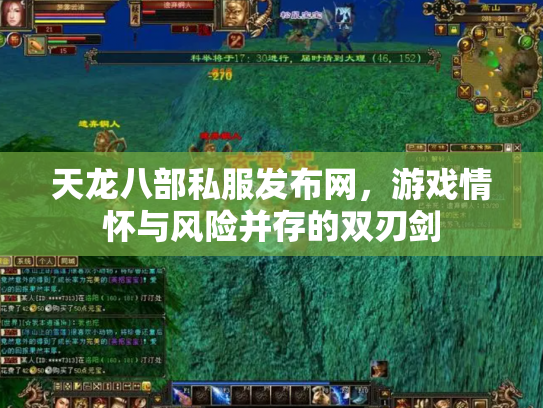 天龙八部私服发布网，游戏情怀与风险并存的双刃剑