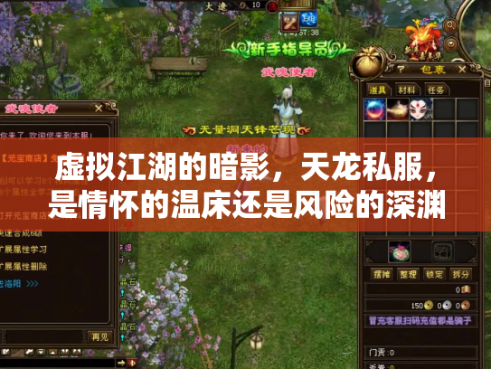 虚拟江湖的暗影，天龙私服，是情怀的温床还是风险的深渊？