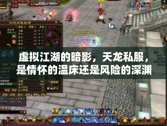 虚拟江湖的暗影，天龙私服，是情怀的温床还是风险的深渊？
