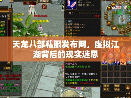 天龙八部私服发布网，虚拟江湖背后的现实迷思