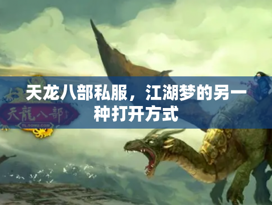 天龙八部私服，江湖梦的另一种打开方式