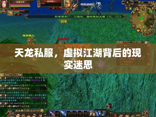 天龙私服，虚拟江湖背后的现实迷思