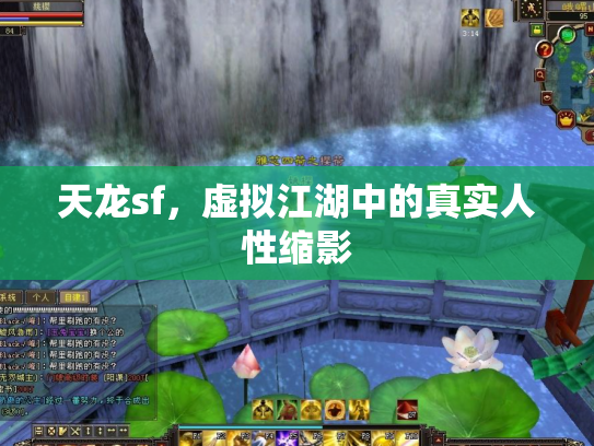 天龙sf，虚拟江湖中的真实人性缩影
