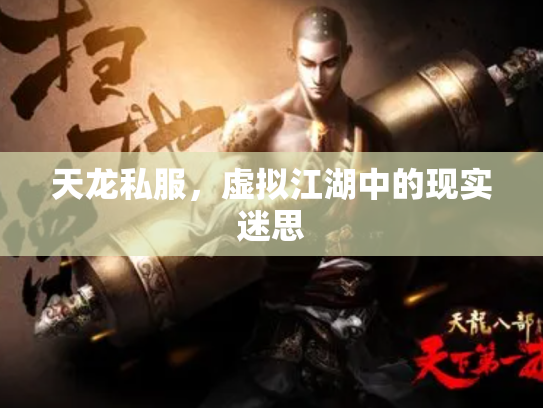 天龙私服，虚拟江湖中的现实迷思