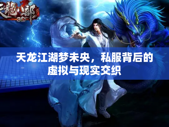 天龙江湖梦未央，私服背后的虚拟与现实交织