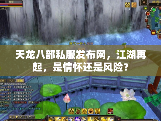 天龙八部私服发布网，江湖再起，是情怀还是风险？