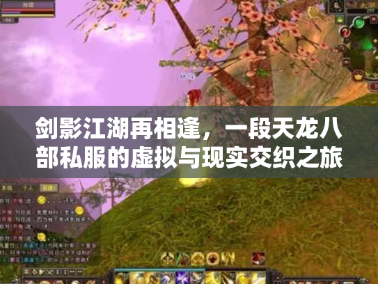 剑影江湖再相逢，一段天龙八部私服的虚拟与现实交织之旅