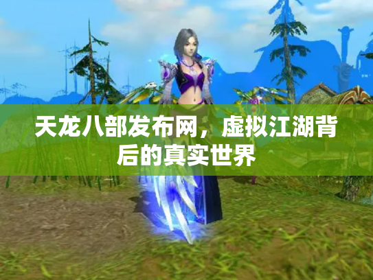 天龙八部发布网，虚拟江湖背后的真实世界