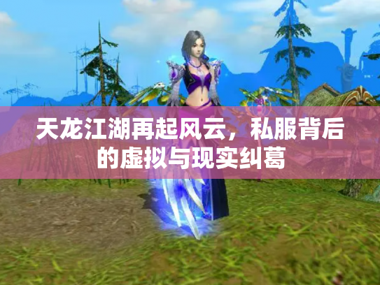 天龙江湖再起风云，私服背后的虚拟与现实纠葛