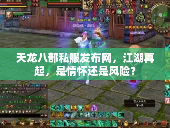 天龙八部私服发布网，江湖再起，是情怀还是风险？