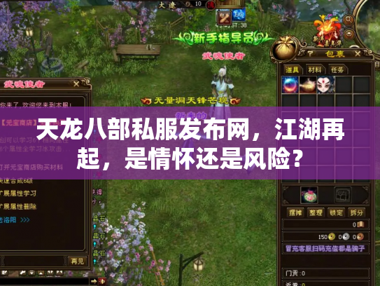 天龙八部私服发布网，江湖再起，是情怀还是风险？