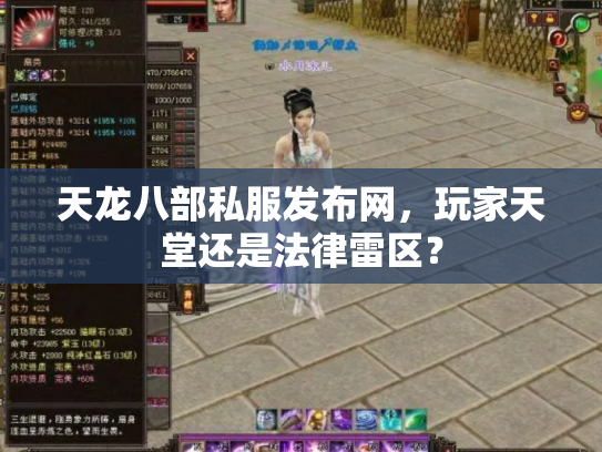 天龙八部私服发布网，玩家天堂还是法律雷区？