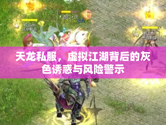 天龙私服，虚拟江湖背后的灰色诱惑与风险警示