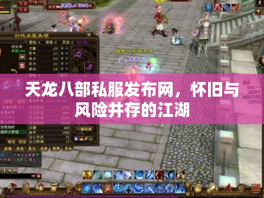 天龙八部私服发布网，怀旧与风险并存的江湖