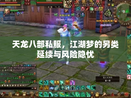 天龙八部私服，江湖梦的另类延续与风险隐忧