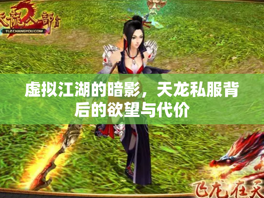 虚拟江湖的暗影，天龙私服背后的欲望与代价