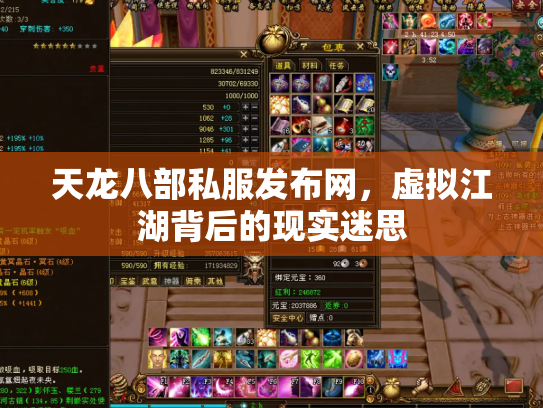天龙八部私服发布网，虚拟江湖背后的现实迷思