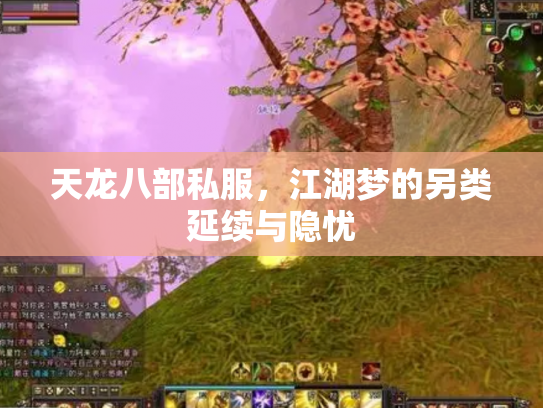 天龙八部私服，江湖梦的另类延续与隐忧