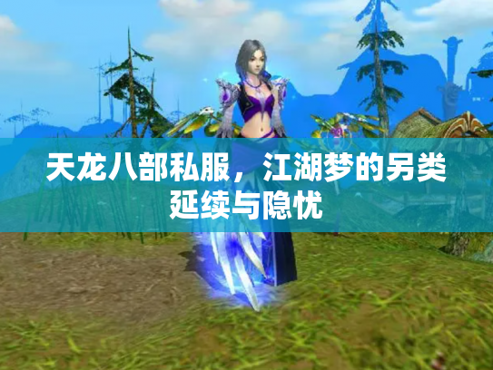 天龙八部私服，江湖梦的另类延续与隐忧